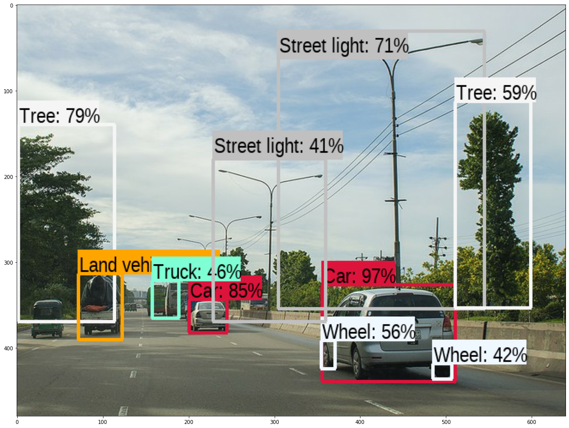 Object Detection Model Output 1